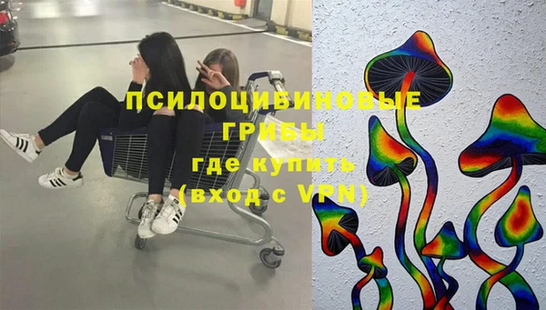 молекула духа Ивангород