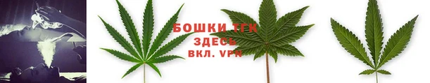 молекула духа Ивангород