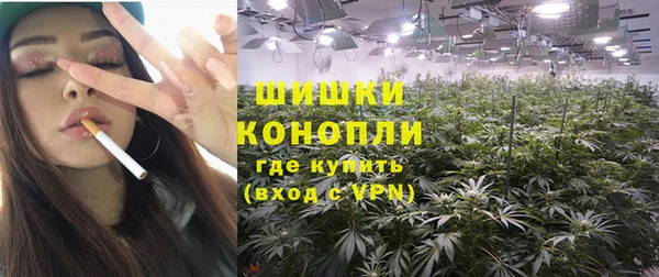 молекула духа Ивангород