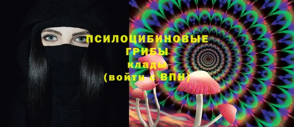 молекула духа Ивангород
