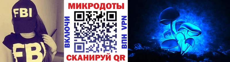 Псилоцибиновые грибы Cubensis  Ковдор 